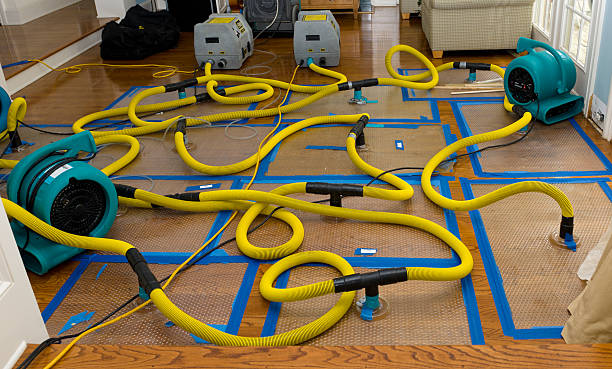 Professional Basement Flood Cleanup technician working in Trenton, TN